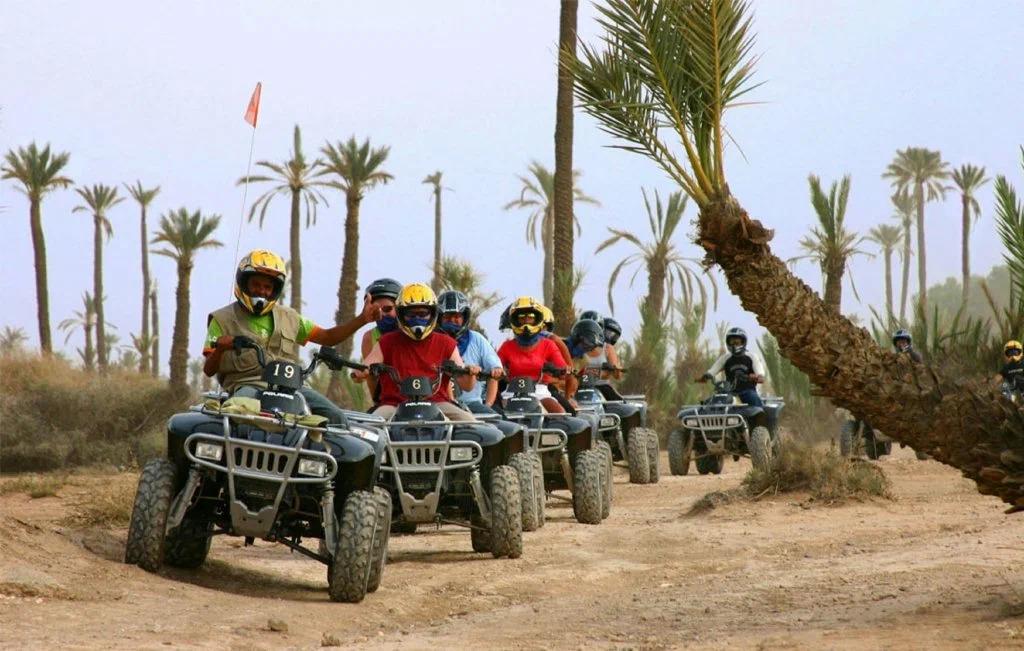 Quad Biking in the Palm Grove